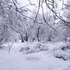 15 февраля