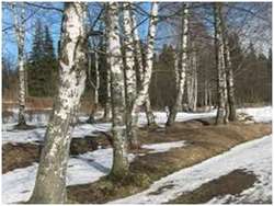 16 апреля