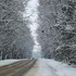 18 февраля