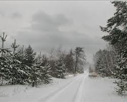 28 февраля