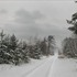 28 февраля
