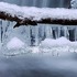 29 января