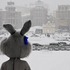 8 января