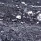 Уголь с Донбасса начали отправлять в Россию
