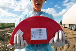 За ввоз санкционных продуктов в России может быть введена уголовная ответственность