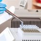 Сообщения СМИ о чуме в Кыргызстане направлены на дискредитацию страны - правительство