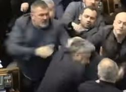 Береза vs Шуфрич: появилось видео драки в парламенте Украины