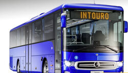 Mercedes Intouro