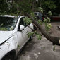 МЧС РФ подсчитало ущерб от урагана в Москве 