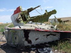 Голландские эксперты начали сбор обломков малайзийского самолета под Донецком
