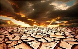 Это будет климатический ад: прогноз ООН к середине века