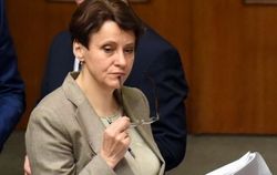 Южанина раскрыла особенности ее проекта налоговой реформы
