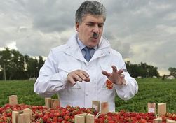 Замена традиционного Зюганова на Грудинина слишком дорого обходится КПРФ