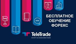 TeleTrade: зачем бесплатно учить престижной профессии трейдера