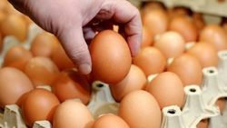 Куриные яйца полезны для здоровья