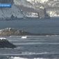 Бумеранг: Япония может забрать Курилы по крымскому сценарию