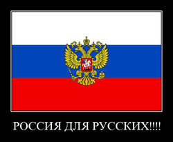 Набирает популярность лозунг "Россия для русских!"