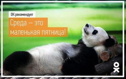 «Одноклассники» представили правильный досуг на выходные