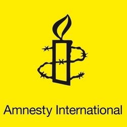 Правительство РФ отказало во встрече с представителями Amnesty International