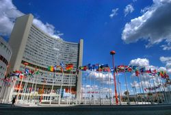 А если бы Украина поддержала Израиль в ООН? 