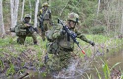 Эстония начинает крупные военные учения "Еж-2015"