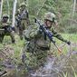 Эстония начинает крупные военные учения "Еж-2015"