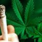 В Грузии легализовали употребление марихуаны