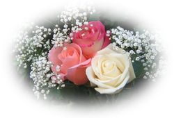 3 января – день рождения Михаэля Шумахера, Мела Гибсона и Гордона Мура