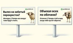 В России нерадивых водителей приравняли к "баранам" - причины
