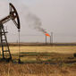 Китай импортировал рекордные объемы нефти в феврале