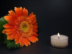 Умер Георгий Тараторкин