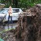 Ураган повалил более тысячи деревьев в Москве
