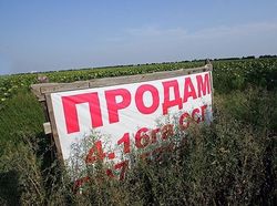 Пора покончить с популизмом о продаже земли в Украине