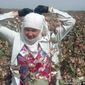 Учащиеся колледжа в Узбекистане голодают на хлопковом поле 