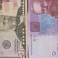 Курс гривны к доллару США за полтора месяца девальвировал более чем на 50%