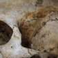 В Италии нашли останки Моны Лизы