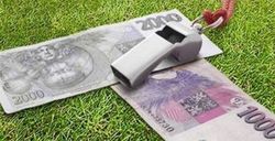 Новый коррупционный скандал в футболе Чехии – десятки арестованных