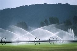 Дефицит воды в Узбекистане может вызвать борьбу за водные ресурсы