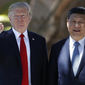 Трамп и Си -- а когда-то они дружили...