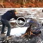 Админы ОК сделали подборку видео на тему «Добро существует!»
