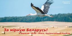 В армии Беларуси царит пропутинский и антилукашенковский настрой – Статкевич