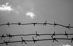 Пограничники РФ устанавливают колючую проволоку на границе с Украиной 