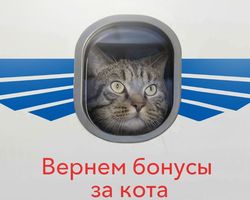 Программа лояльности Alpari Cashback
