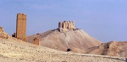  Власти Сирии готовы восстановить разрушенную Пальмиру 