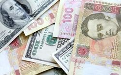 Украинские банкиры дали прогноз курса гривны на 2014 год
