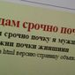 Узбеки в России продают свои почки