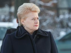 Президент Литвы: "Газпром" стал совершенно не нужен 