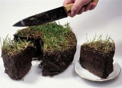 Как бесплатно получить земельный участок в Киеве