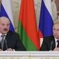Беларусь тыкала палкой в спящего тигра и с испугу выстрелила себе в ногу – эксперт