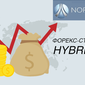 Nordhill Capital представил одну из самых доходных форекс-стратегий – Hybrid FX